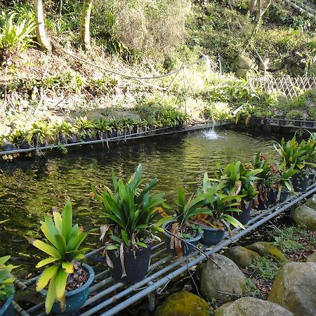 Bunbury Fruit Ranch B&B Ren'ai Esterno foto